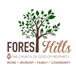 roof hills repair forest god church donate